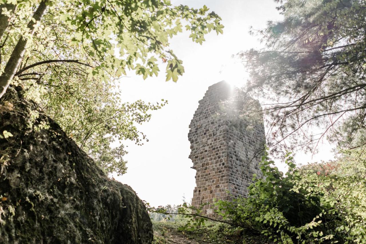 Gasthaus Am Oedenturm Chammünster Zewnętrze zdjęcie
