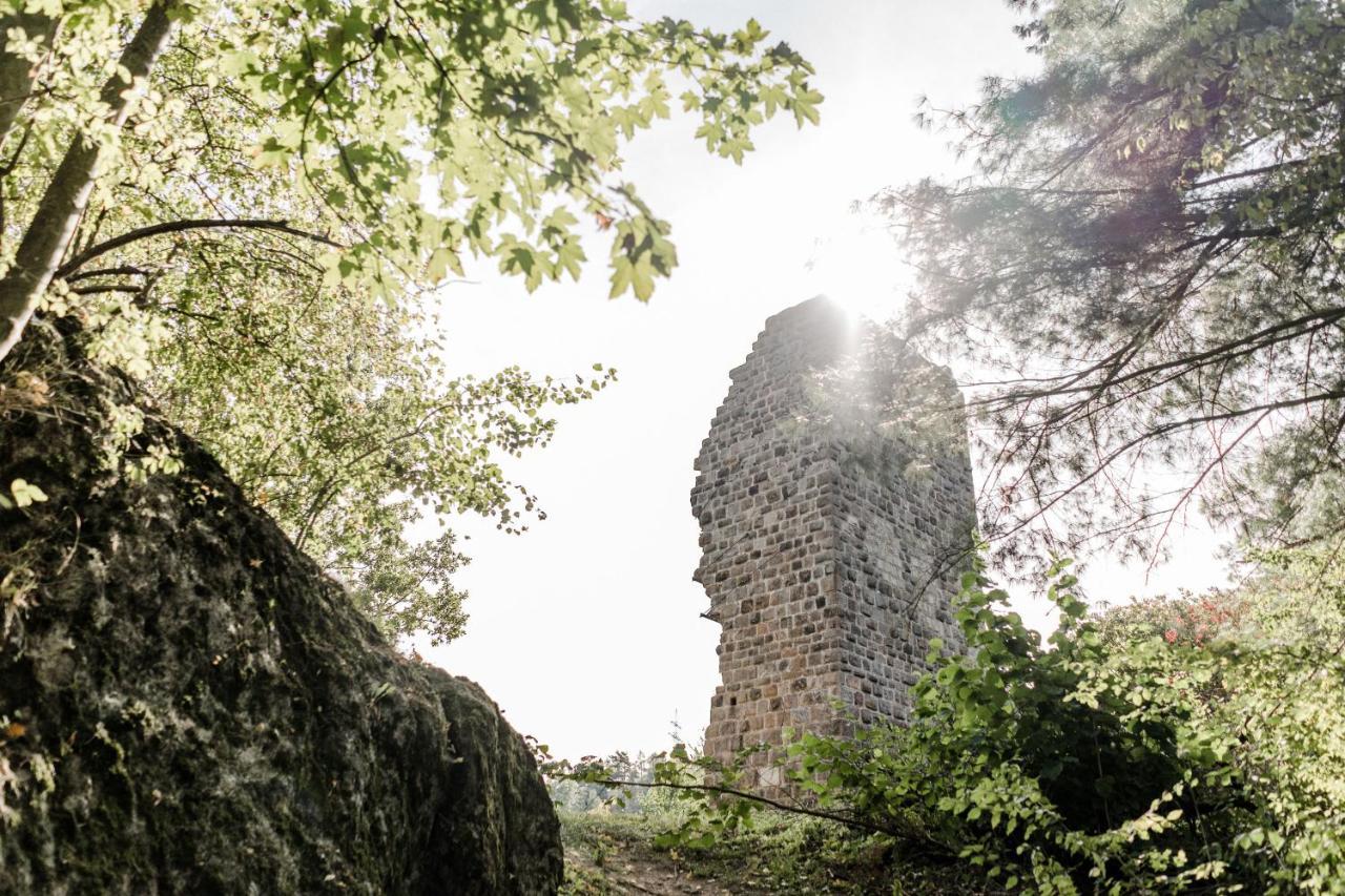 Hotel Gasthaus Am Oedenturm Chammünster Zewnętrze zdjęcie